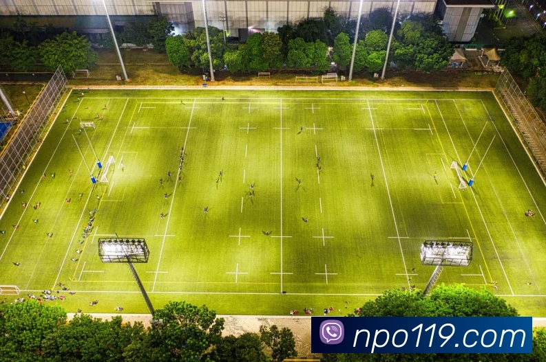 AI Risk Control